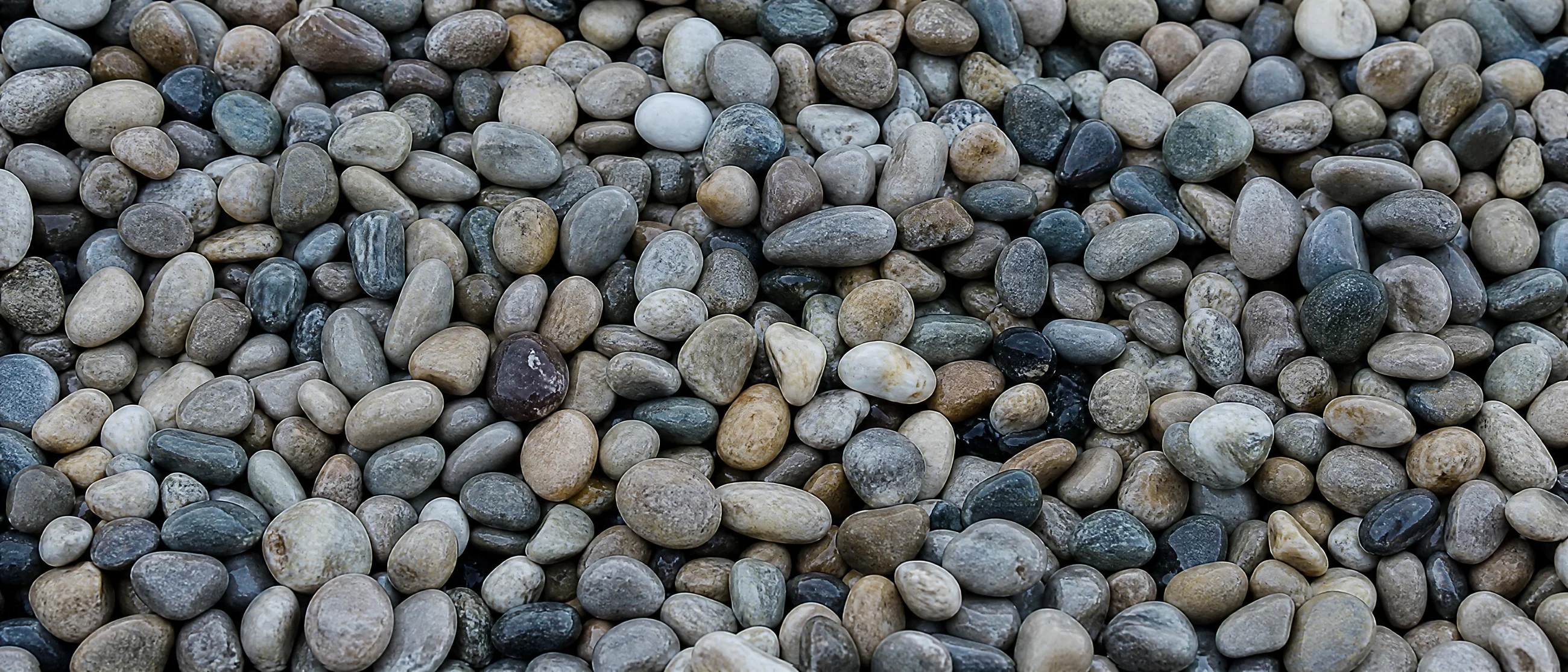 Gewaschener Rundkies