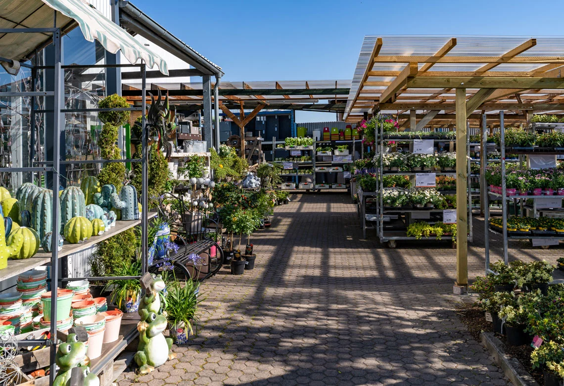 Gang durch das Gartencenter unter der Pergola mit Pflanzen