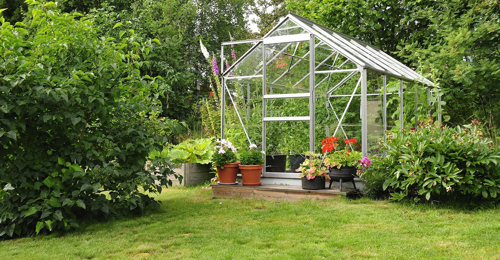 Glasgewächshaus im Garten