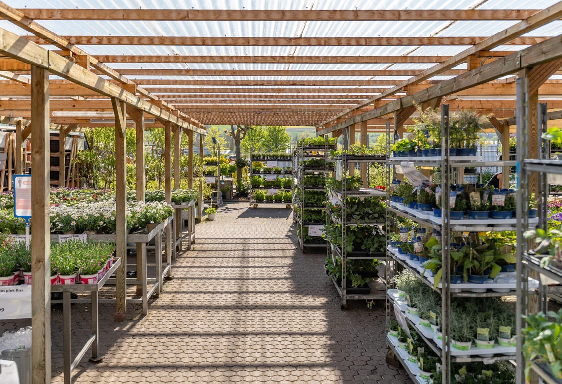 Pflanzenwagen unter der Pergola des Gartencenters